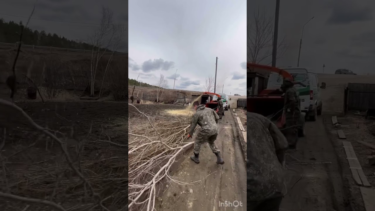 Переработка веток в щепу Иркутск т.618-443 ArboProfi38