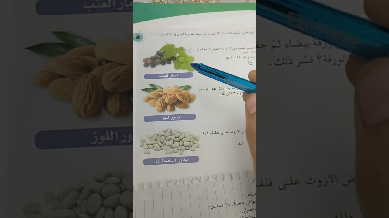 شروط عملية التركيب الضوئي
