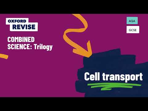 Knowledge Organisers | AQA GCSE Combined Sciences | Cell Transport | Oxford Revise