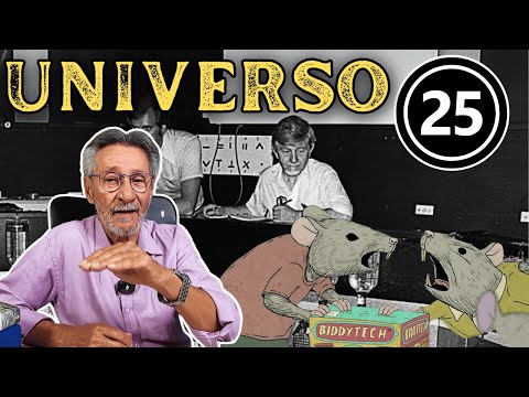 El experimento Universo