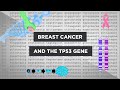 Evoed breast cancer and the tp53 gene