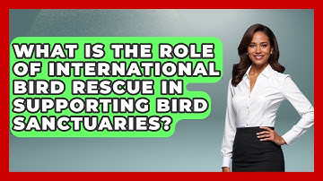 What Is The Role Of International Bird Rescue In Supporting Bird Sanctuaries?