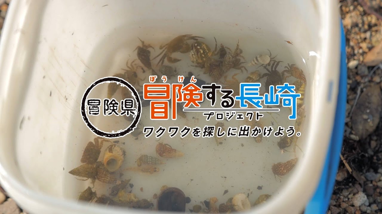 海は楽しい先生！干潟の生き物を観察しよう！ ｜冒険する長崎プロジェクト