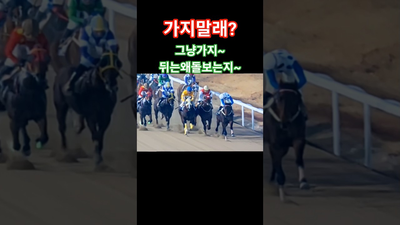 1번놓고 삿는데 왜저러지?#경마 #말 # 달려라말 #shrots #horse #가왕