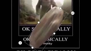 im monky