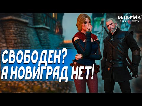 Несвободный Новиград 1 Ведьмак 3 | Они украли магические артефакты | Скрытые квесты Новиград