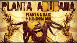 Planta e Raiz -  Eu Também Faço Meu Jogo ADUBADA