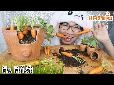 กิน ดิน! แครอทจิ๋ว ในสวนผัก ประโยชน์ของแครอท #Mukbang #ASMR Edible soil Garden Carrot :ขันติ