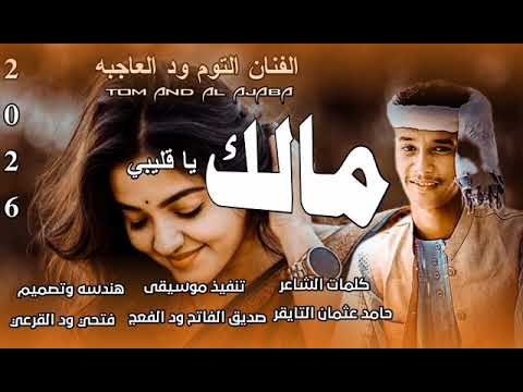 جديد 2026 الفنان التوم ود العاحبه مالك يا قليبي