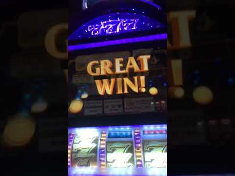 #bigwin #prosperitylink #slotcasino #playcity #mexico