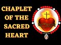 Chaplet of the sacred heart  virtual beads