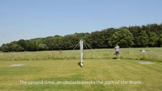 UAV waypoint obstacle avoid