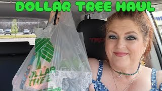 DOLLAR TREE HAUL | 😀 | April 21, 2024