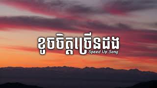 ខូចចិត្តច្រើនដង   ដួងវីរៈសិទ្ធ Speed Up Song Audio