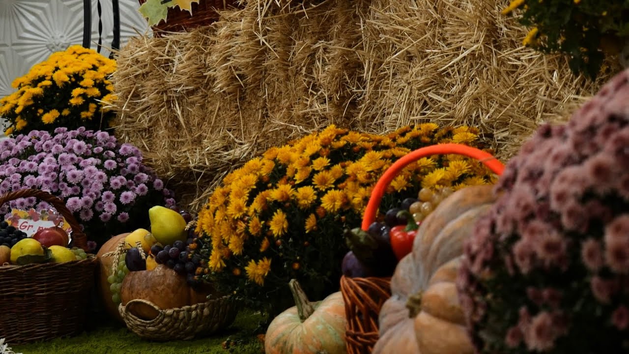 Matineu Toamna de Aur 2025 la grădinița nr. 194 din Chișinău (Grupa 11 Abeceluș)