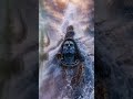 The Divine Descent: Lord Shiva 🔱 #shorts