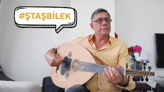 Udi Şemsettin Taşbilek - Batarken Ufukta Bir Akşam Güneşi