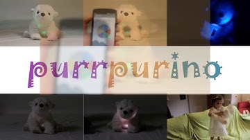 Purrpurino submission for Intel Hacks 2017