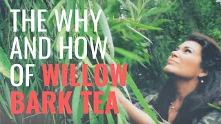 The Fastest Pain Relief in the Wild! ~ How to Make and Use Willow Bark Tea