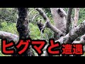 【死ぬかと思った】夕張岳でヒグマに至近距離で遭遇･･･