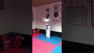 Sportschule Tong-IL Tul 4