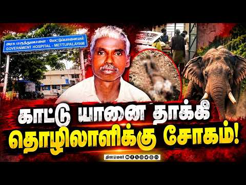 அச்சத்தில் மலை கிராம மக்கள் Mettupalayam Wild Elephant Attack Tragic Death of a Daily-Wage Wor