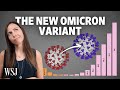 BA.2 Omicron: What to Know About the New Covid Variant