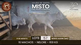 Lote: 57
