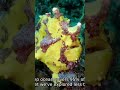 Top 10 Most Bizarre Abilities of Deep Sea Creatures #shorts