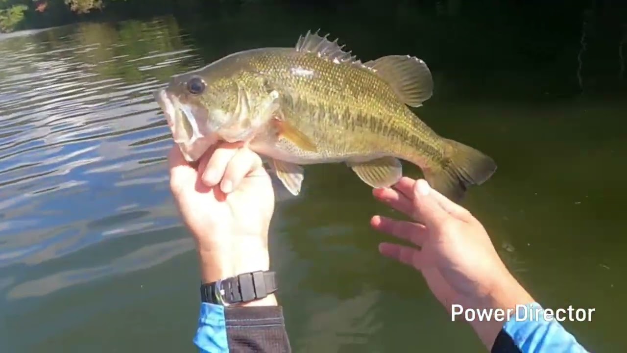 Lago luchetti Yauco PR Práctica 6x6