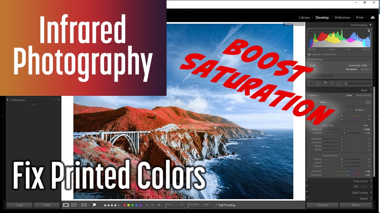 How to Fix Printed Colors in Color Infrared Photography