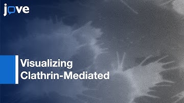 GP-Coupled Receptors At Single-Event Resolution Via TIRF Microscopy l Protocol Preview