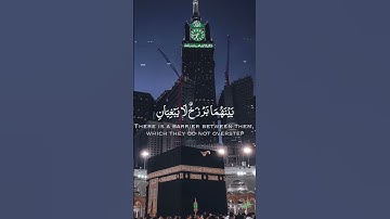 فبأي آلاء ربكما تكذبان 💞 سورة الرحمن - ياسر الدوسري 🌿