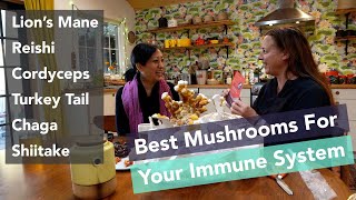 How Eating Mushrooms Support Your Immune System - Chaga, Lion's Mane, Cordyceps, Shiitake, Reishi by Modern Aging - Holistic Health & Wellness After 50 567 views 1 year ago 22 minutes