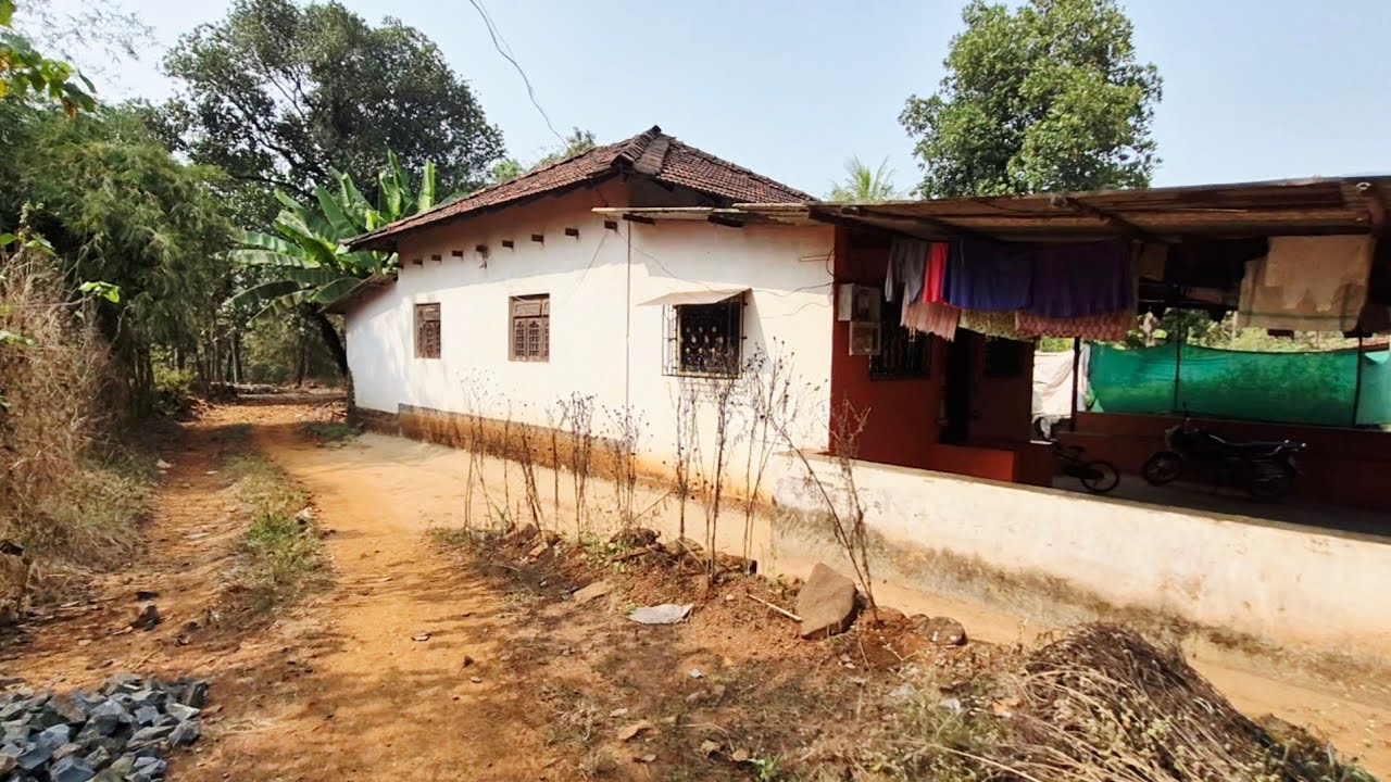 कोकण गाव आणि वातावरण Konkan village life vlog #konkan_vlog #Khed_Ratnagiri निसर्गारंम्य कोकण #Kokan