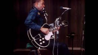 Jesse Fuller - Running Wild