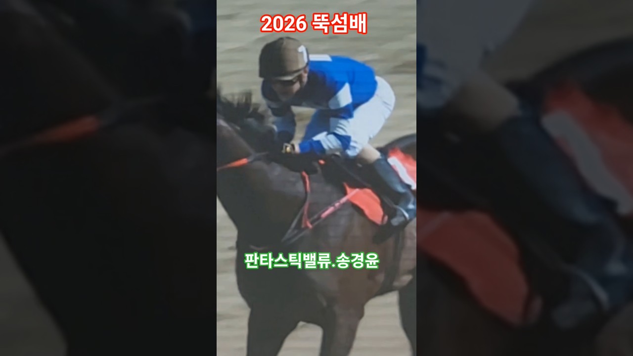 막판스타트 멋졌다!#경마 #말 #달려라말 #shorts #대상경주