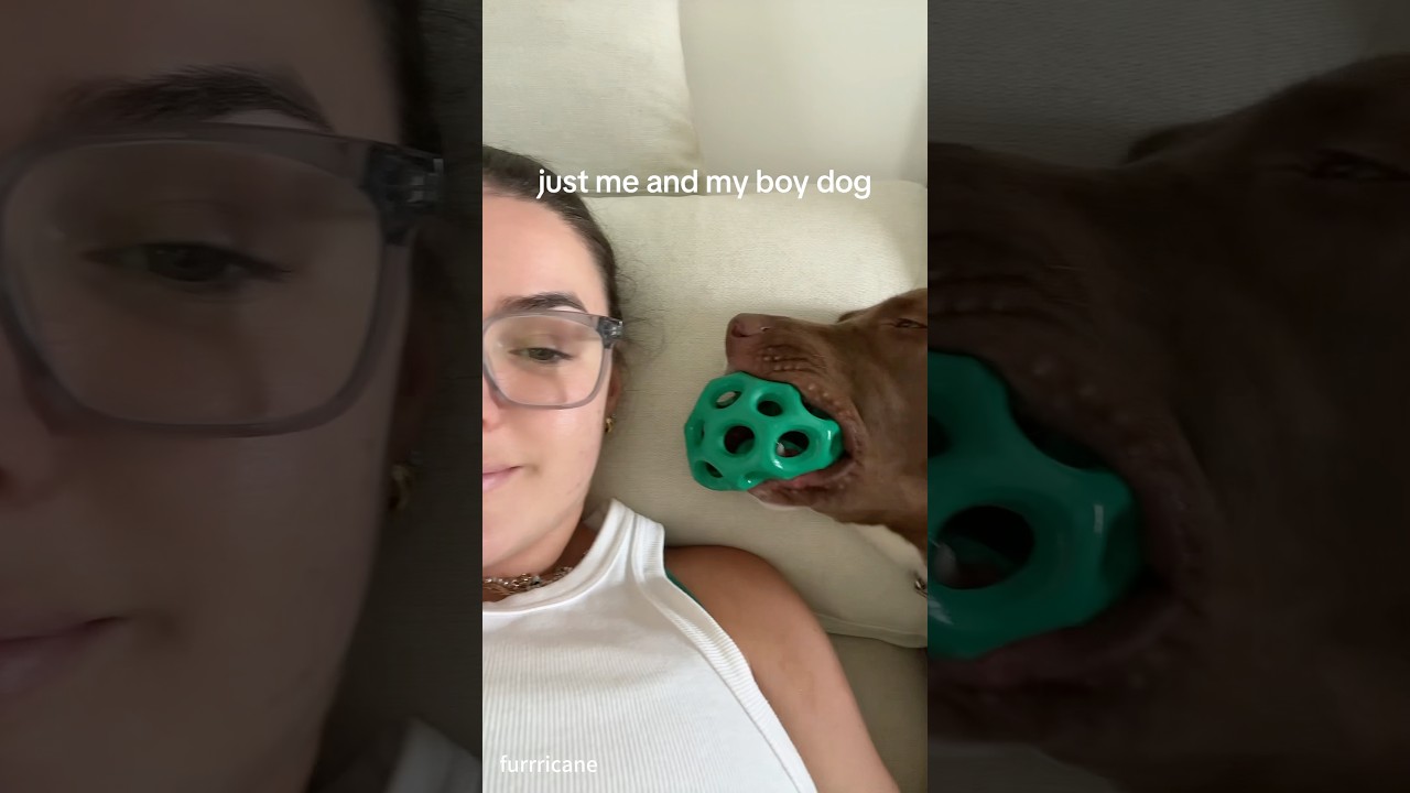 Dogs.need your attention.🫣 