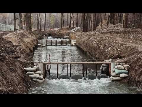 Video: Балык гуляшын кантип жасаш керек