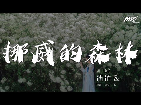 伍佰 - 挪威的森林『那裏湖面總是澄清』【動態歌詞Lyrics】