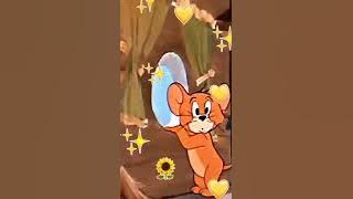 Power Ranger Pink ~Story WA~