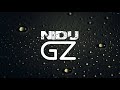 Fisher - Losing It (NIDU Gz Remix)