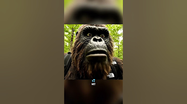 Bigfoot Tries Forest Mystery Box Challenge (Yeti Prank) #bigfootvlog