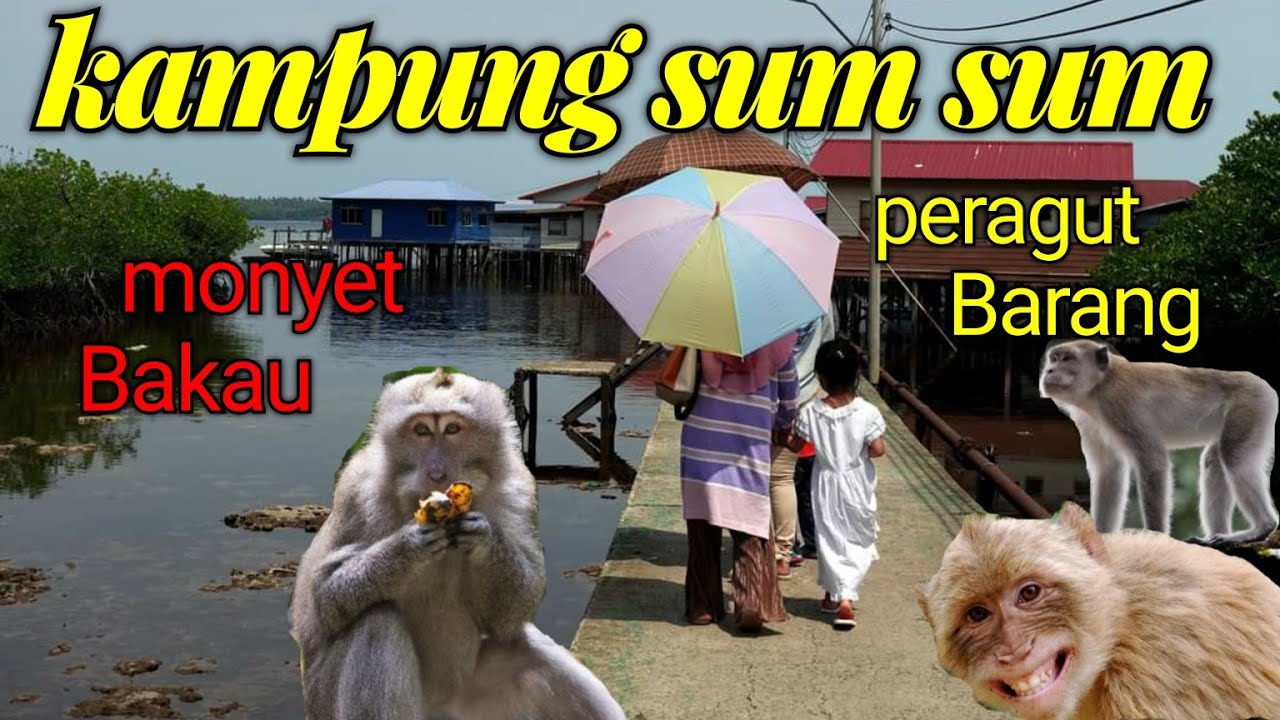 SUASANA KAMPUNG SUM SUM SEMPORNA SABAH#sabahtourism #cuticutimalaysia #jalanjalan #semporna #travel