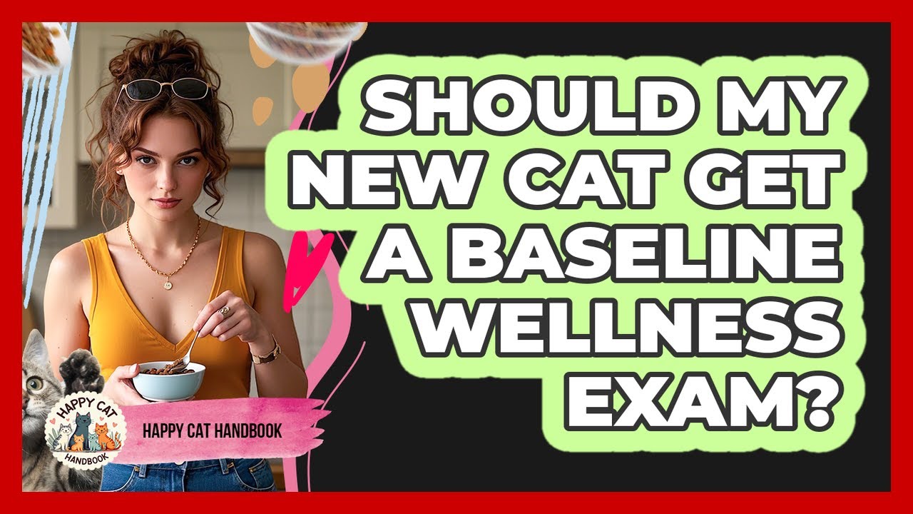 Should My New Cat Get A Baseline Wellness Exam?