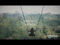 【Works】The Sayan House Bali Indonesia