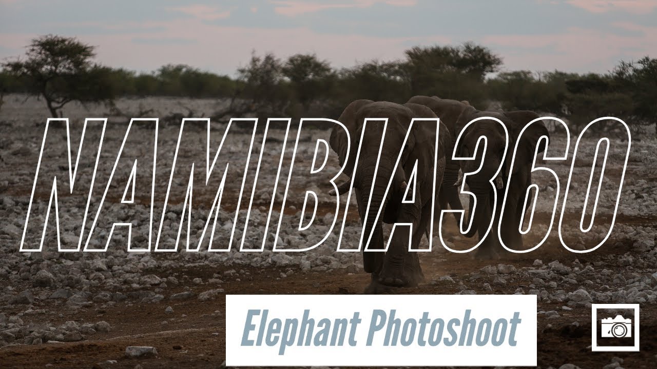 TAMU | Namibia 360: Elephant Photoshoot