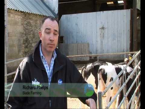 The Blade Farming Star Sires Scheme on Countryfile