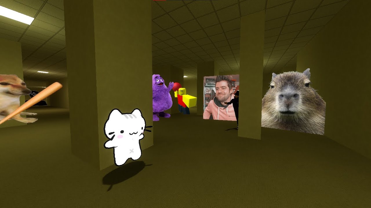 Gato con media neurona vs memes en los backrooms | Gmod