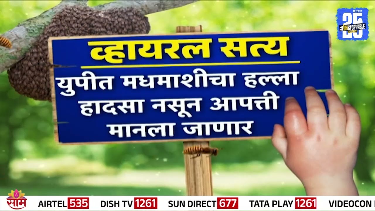 Special Report | मधमाश्यांचा हल्ला झाल्यास 4 लाख मिळणार? | Honey Bee Attack News